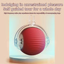 1/2PCS Interactive Cat Toys Ball Auto Electric Rolling Ball Toys for Cats