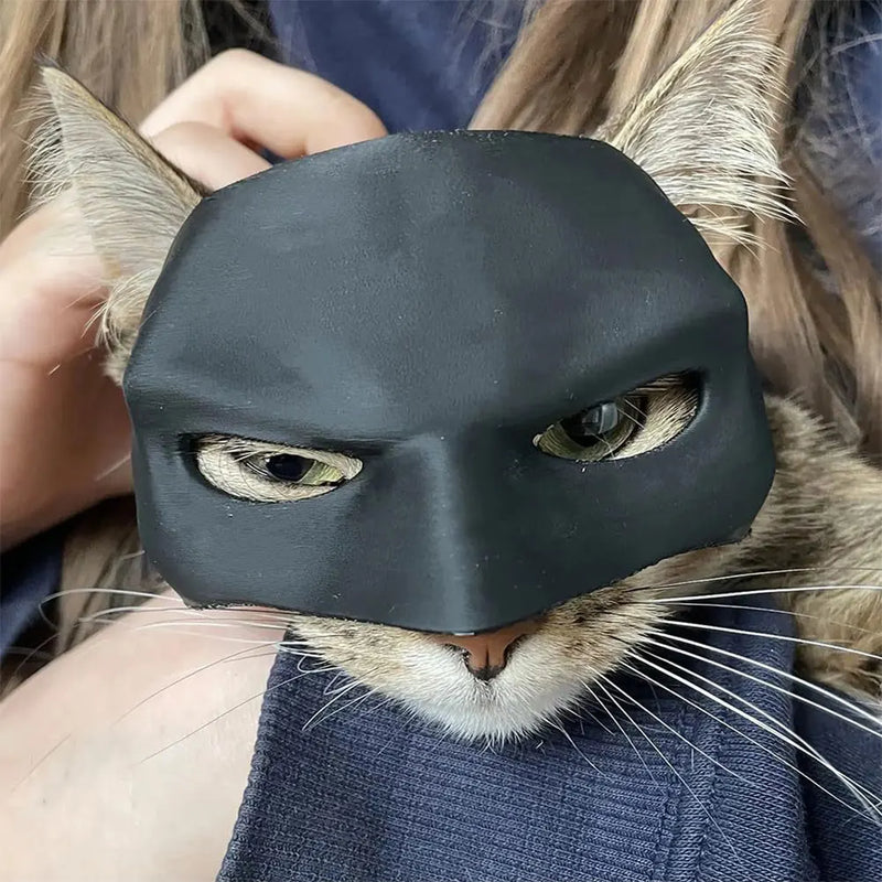 9-13cm Cat Bat Cool Man Mask