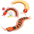 Infrared Remote Control Animal Cobra Insect Pet Toy